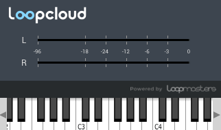 Loopcloud Review Loopcloud app